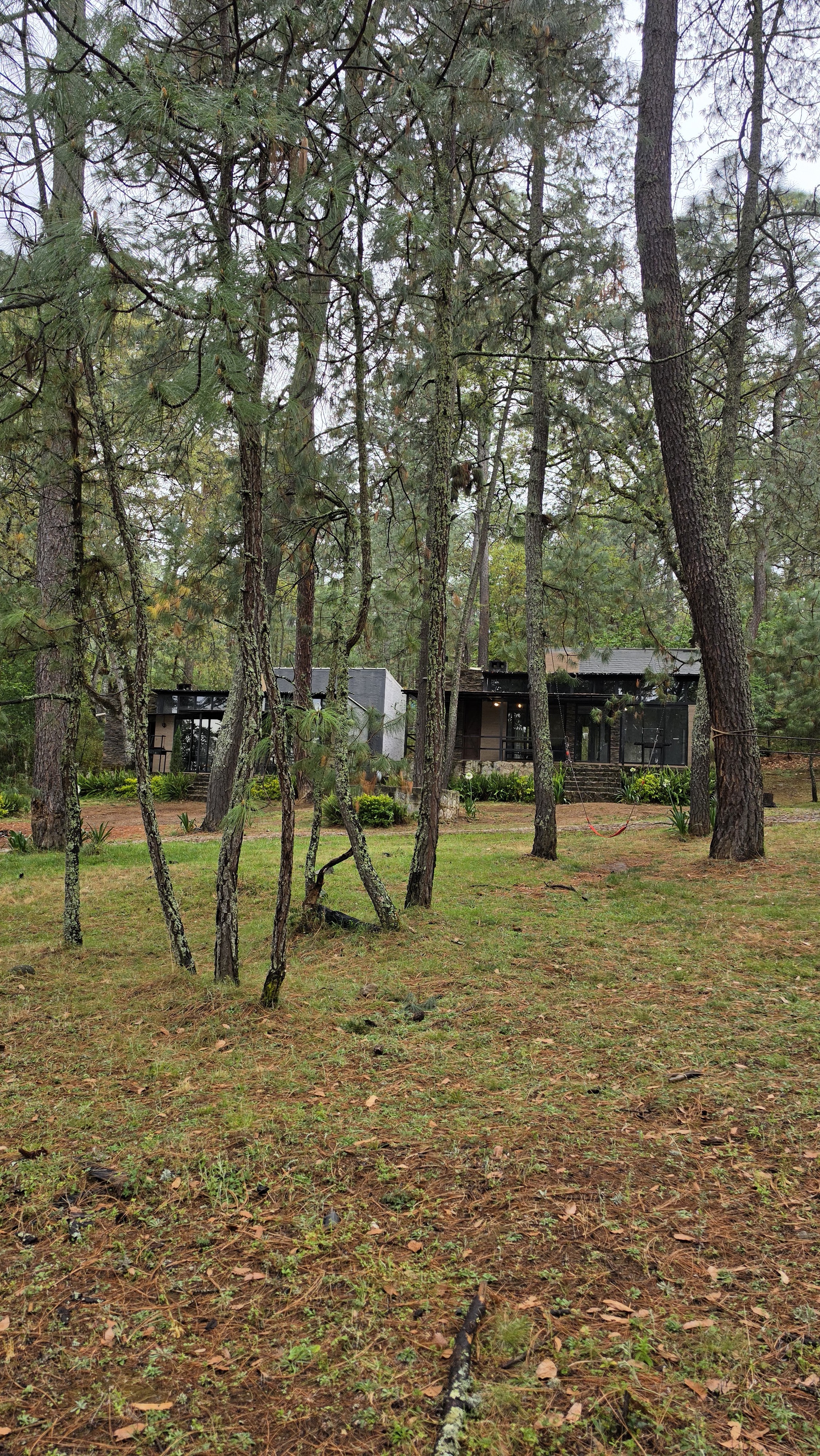 Fotografía 1 de Proyecto 3