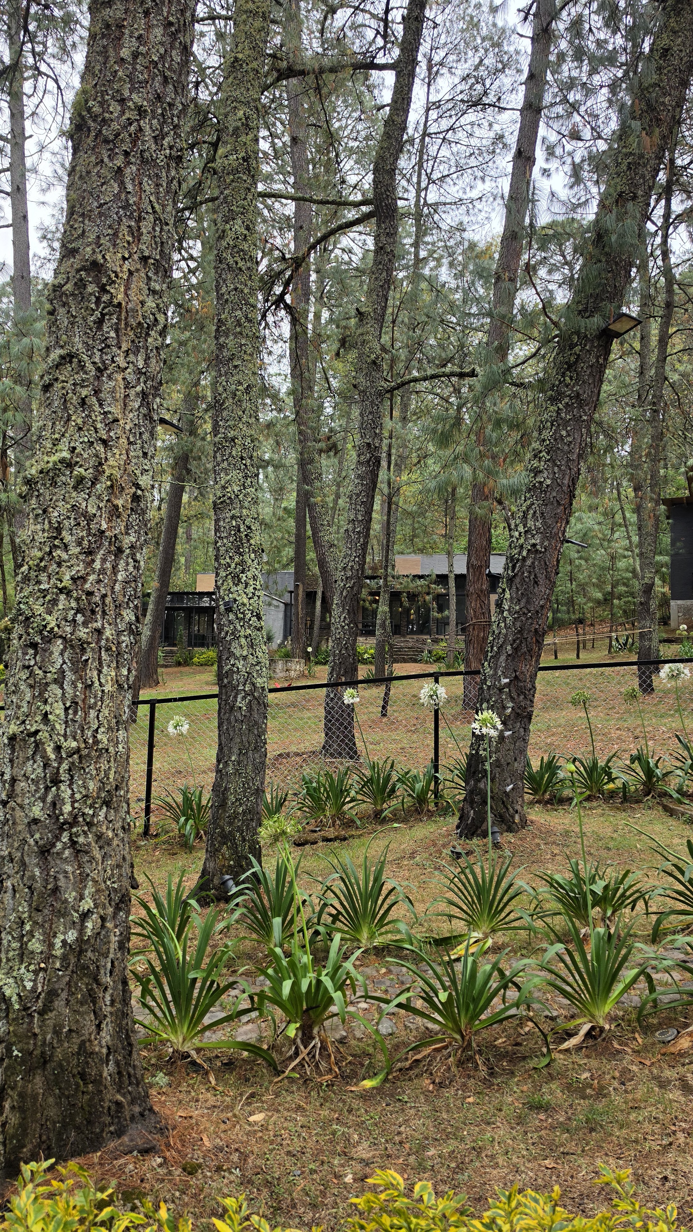 Fotografía 2 de Proyecto 3